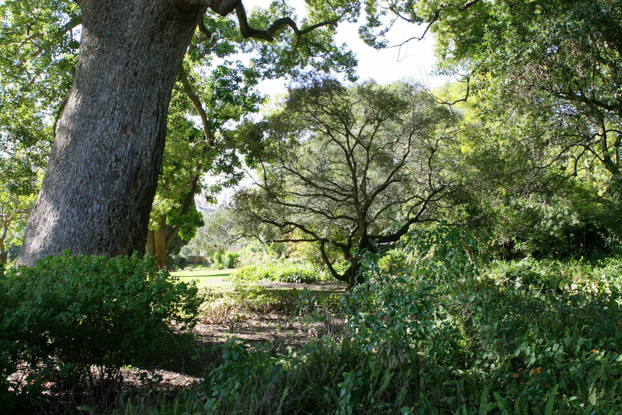 Avemore Wag N Bietjie No 1 Stellenbosch Kültér fotó